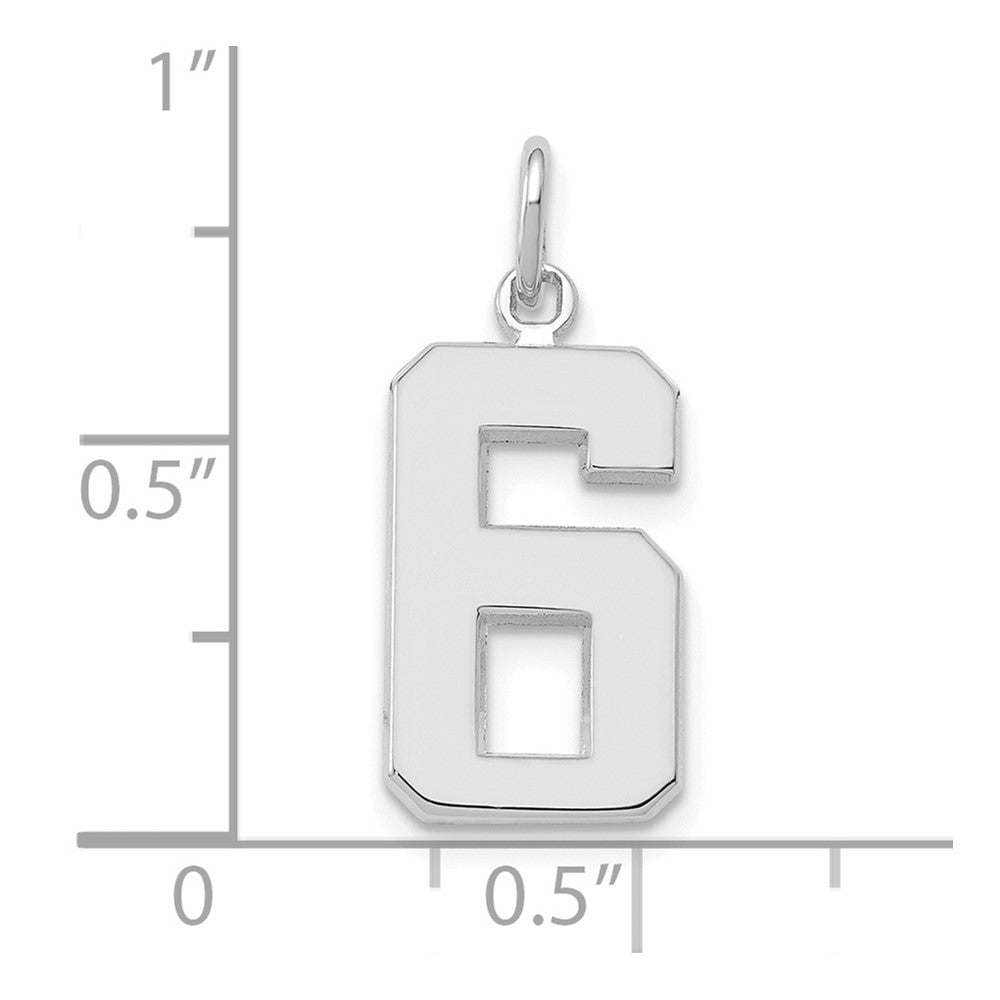 14kw Medium Polished Number 6 Charm
