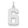 14kw Medium Polished Number 6 Charm