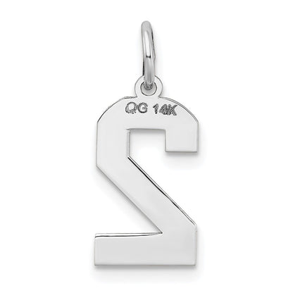 14kw Medium Satin Number 2 Charm