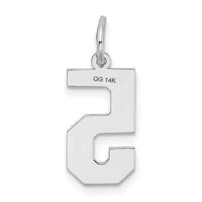 14kw Medium Satin Number 5 Charm
