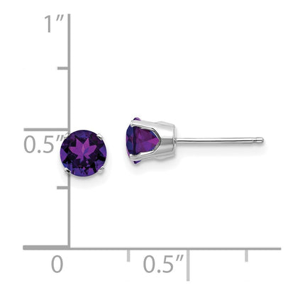 14k White Gold 5mm Round February/Amethyst Stud Earrings