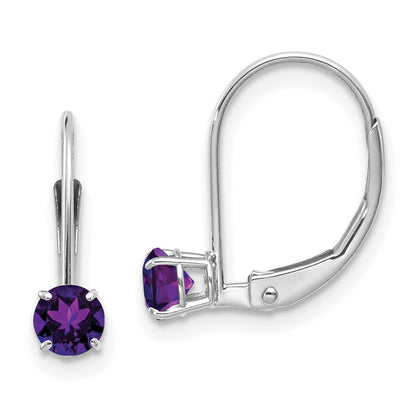 14k White Gold 4mm Round February/Amethyst Leverback Earrings