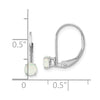 14k White Gold 4mm Round October/Opal Leverback Earrings