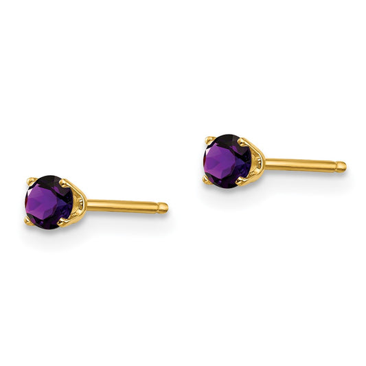 14k 3mm Round February/Amethyst Post Earrings