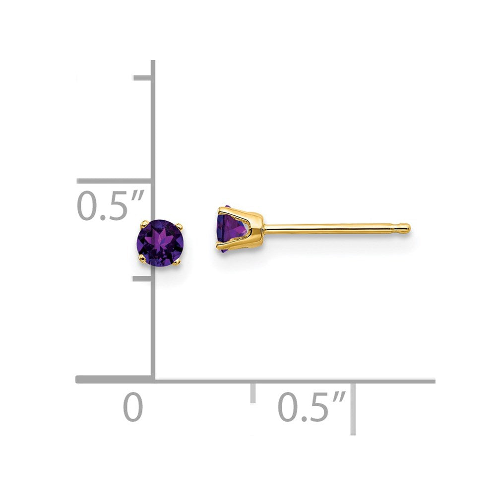 14k 3mm Round February/Amethyst Post Earrings