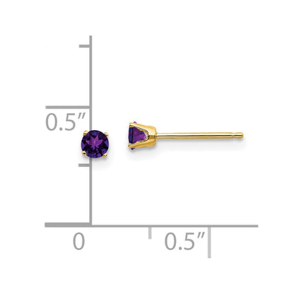 14k 3mm Round February/Amethyst Post Earrings