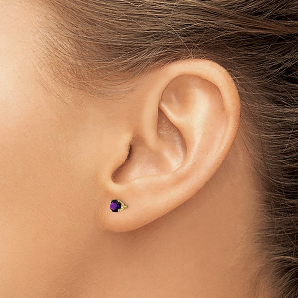 14k 4mm Round February/Amethyst Post Earrings