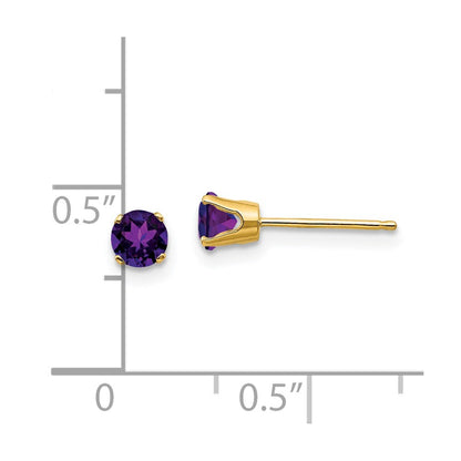 14k 4mm Round February/Amethyst Post Earrings