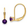 14k 4mm Round February/Amethyst Leverback Earrings