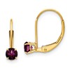 14k 4mm Round June/Rhodolite Garnet Leverback Earrings