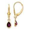 14k 6x4mm Pear Bezel June/Rhodolite Garnet Leverback Earrings