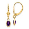 14k 6x4 Oval Bezel February/Amethyst Leverback Earrings