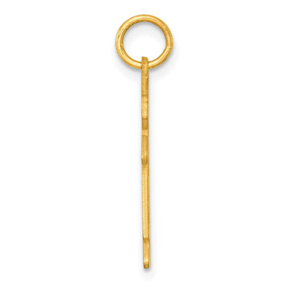 Sterling Silver Gold-plated Class of 2025 Boy Cuddle Charm