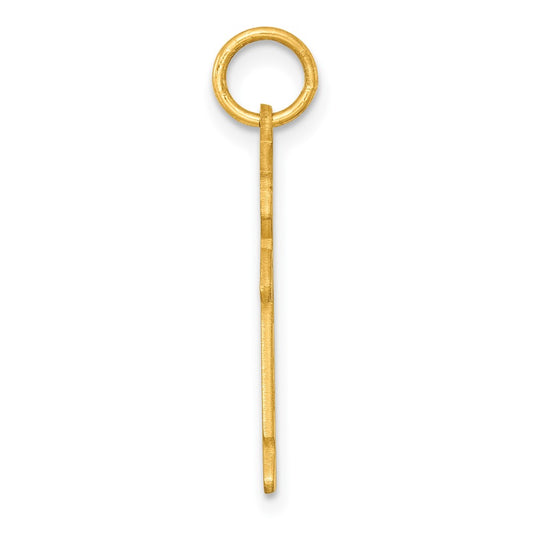 Sterling Silver Gold-plated Class of 2025 Boy Cuddle Charm