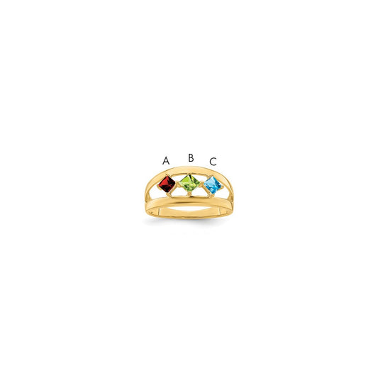 14k Family Jewelry Ring Mounting