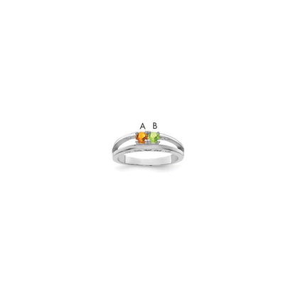 14k White Gold Family Jewelry Ring Mounting