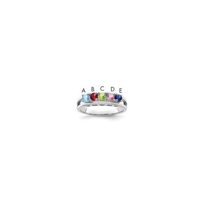 14k White Gold Family Jewelry Ring Mounting