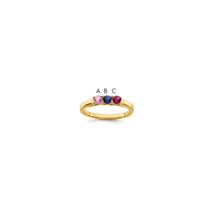 14k Family Jewelry Ring Mounting