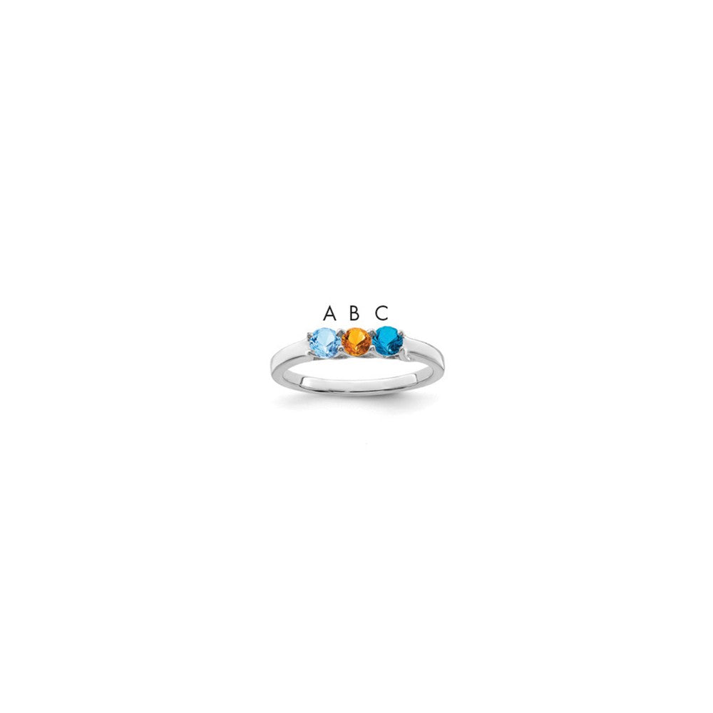 14k White Gold Family Jewelry Ring Mounting