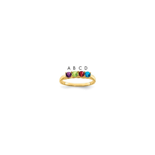 14k Family Jewelry Ring Mounting
