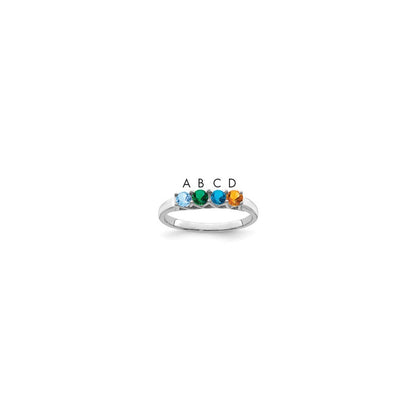 14k White Gold Family Jewelry Ring Mounting