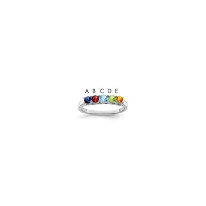 14k White Gold Family Jewelry Ring Mounting