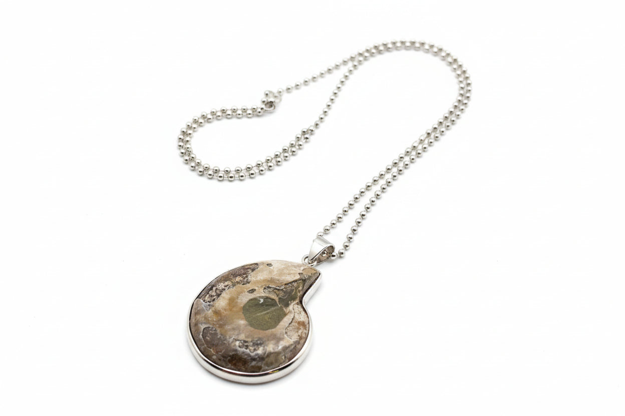 Ammonite Spiral Necklace