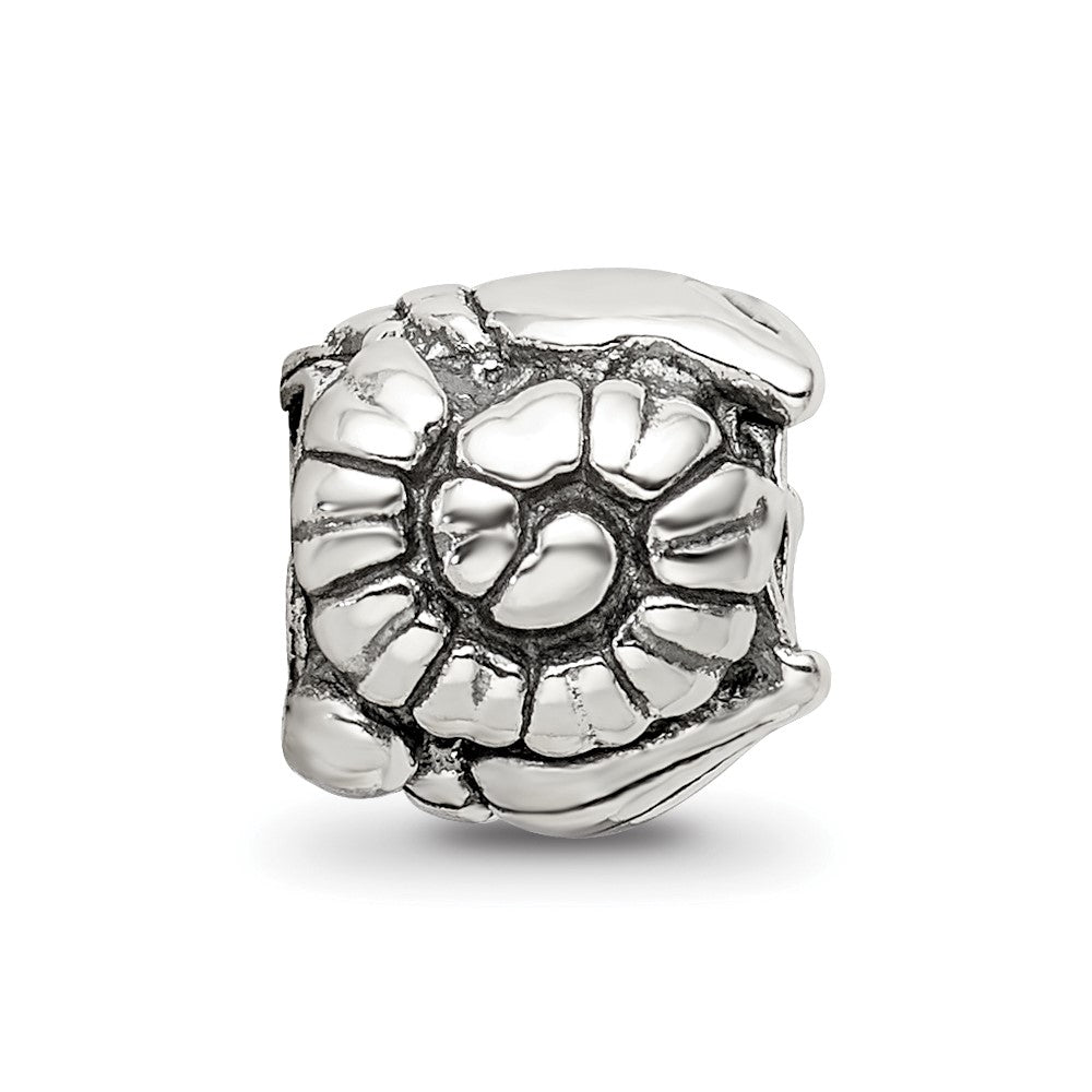 Sterling Silver Reflections Shells Bead