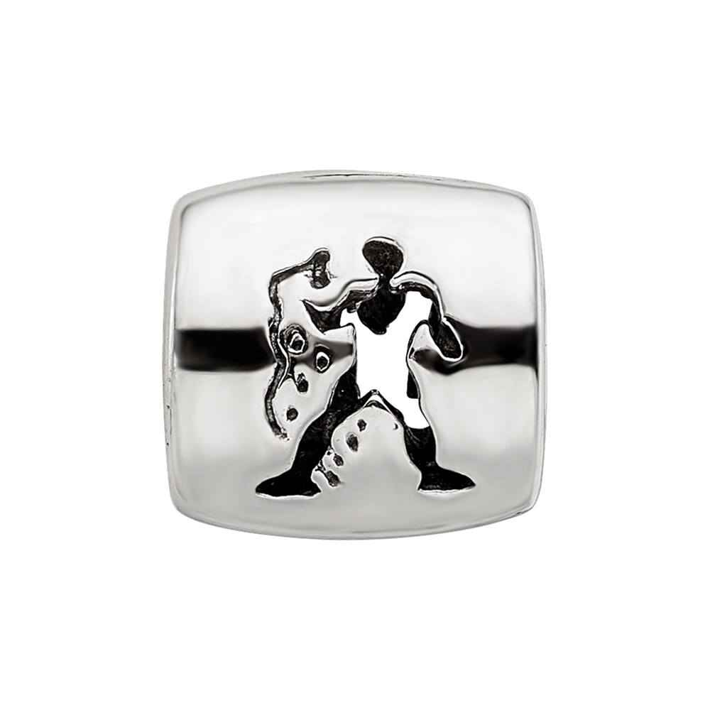 Sterling Silver Reflections Aquarius Zodiac Antiqued Bead