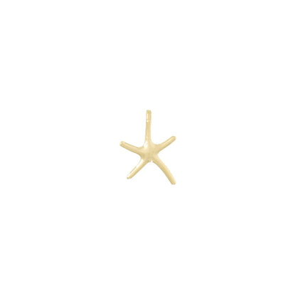 10k Dancing Starfish Chain Slide